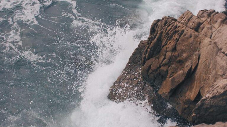 Who Is The Official Owner Of 99Exch Platform?